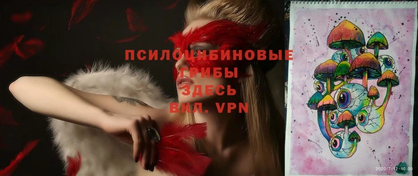 стафф Алзамай