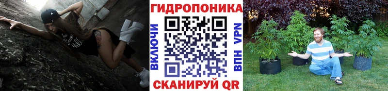 Купить где  Вятские Поляны  МАРИХУАНА LSD WEED 